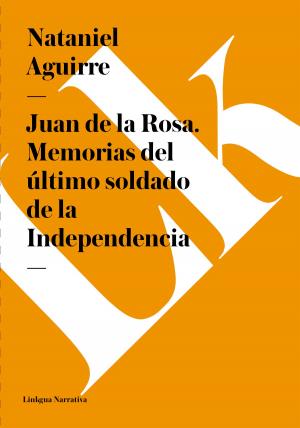 Cover of the book Juan de la Rosa. Memorias del último soldado de la Independencia by Agustín Álvarez