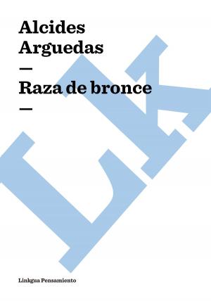 Cover of the book Raza de bronce by Marcelino Menéndez y Pelayo