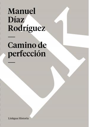 Cover of the book Camino de perfección by Pedro Ponce