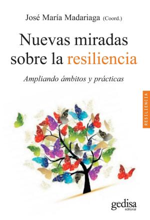 Cover of the book Nuevas miradas sobre la resiliencia by Georg Simmel, Esteban Vernik