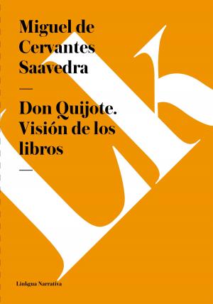 Cover of the book Don Quijote. Visión de los libros by 