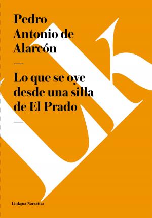 Cover of the book Lo que se oye desde una silla de El Prado by Emilio Castelar y Ripoll