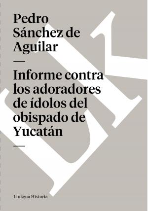 Cover of the book Informe contra los adoradores de ídolos del obispado de Yucatán by José Rizal y Alonso