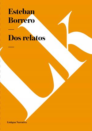 Cover of the book Dos relatos by Antonio de Villegas