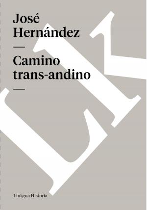 Cover of the book Camino trans-andino by Cristobal de Villalón