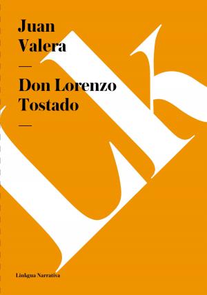 Cover of the book Don Lorenzo Tostado by Marcelino Menéndez y Pelayo