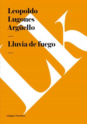 Cover of the book Lluvia de fuego by Ramón de Palma y Romay