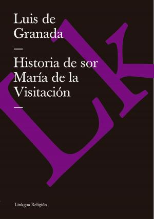 Cover of the book Historia de sor María de la Visitación by Trinidad Hermenegildo Pardo de Tavera