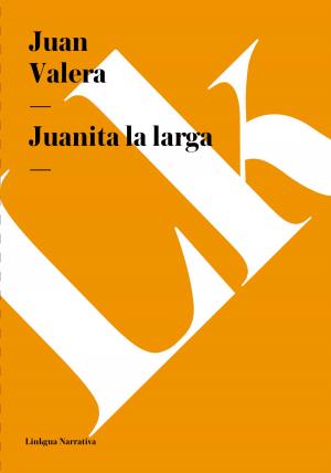 Cover of the book Juanita la larga by José Joaquín Fernández Lizardi