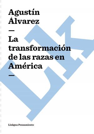 Cover of the book transformación de las razas en América by Angel Saavedra. Duque de Rivas