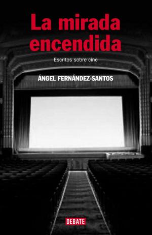 Cover of the book La mirada encendida by Elsa Punset, Rocio Bonilla