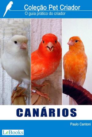 Cover of the book Canários by Roberto Campos, Edições LeBooks