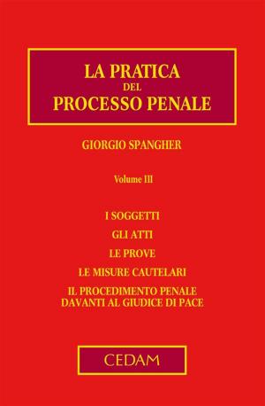 Cover of the book La pratica del processo penale. Volume III by Alberto Quagli
