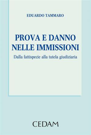 Cover of the book Prova e danno nelle immissioni by ALESSANDRA PERA (a cura di)