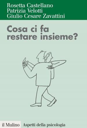 Cover of the book Cosa ci fa restare insieme? by Giovanni, Brizzi