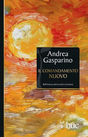 Cover of the book Il comandamento nuovo by Víctor Manuel Fernández