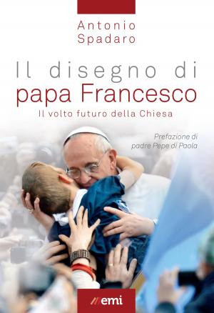 Book cover of Disegno di papa Francesco