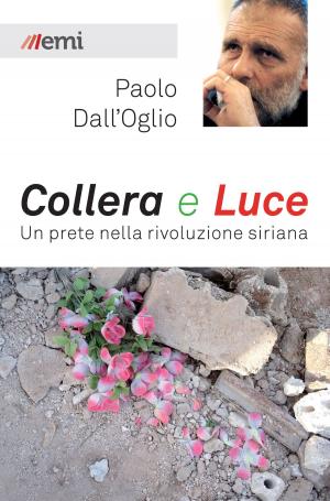 Cover of the book Collera e luce by Silvina Premat, Luigi Ciotti