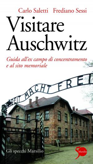Book cover of Visitare Auschwitz