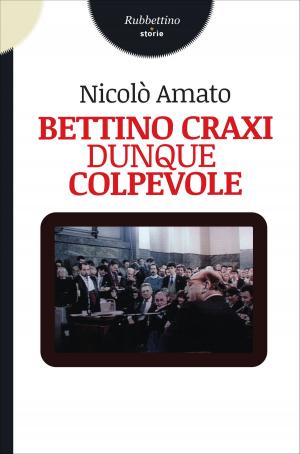 Cover of the book Bettino Craxi dunque colpevole by Francesco Delzio