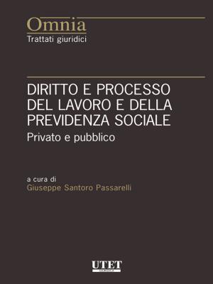 Book cover of Diritto e processo del lavoro e della previdenza sociale