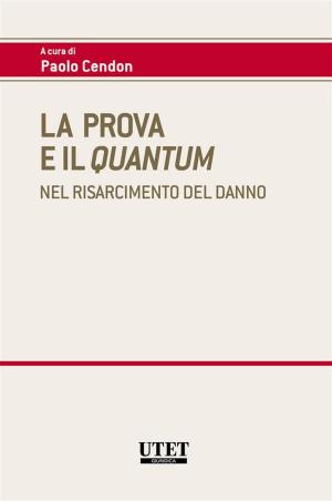 Cover of the book La prova e il quantum by Mattia Persiani