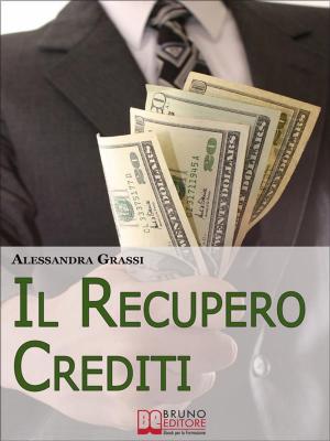 Cover of the book Il Recupero Crediti. Strategie per la Gestione Efficace dei Crediti non Performing. (Ebook Italiano - Anteprima Gratis) by STEFANO DEL GRANDE