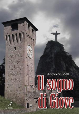 Cover of the book Il sogno di Giove by Licia Brancolini