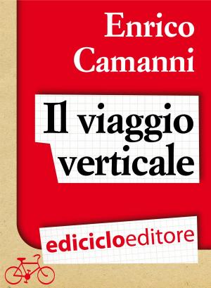Cover of the book Il viaggio verticale by Mauro Colombo