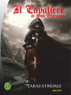 Cover of the book Il Cavaliere di San Giovanni by Carlo Santi