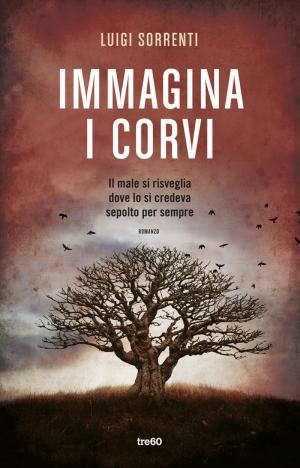 Book cover of Immagina i corvi