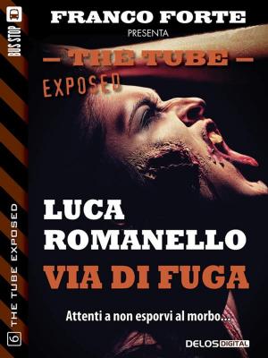 Book cover of Via di fuga