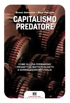Book cover of Capitalismo predatore