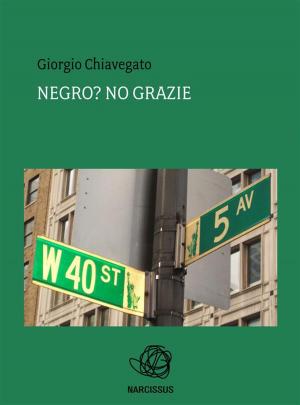 Cover of the book Negro? no grazie by George Thomas Clark