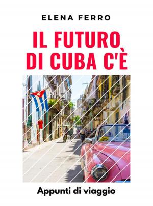 Book cover of Il Futuro di Cuba c'è