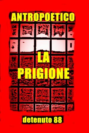 Cover of La prigione