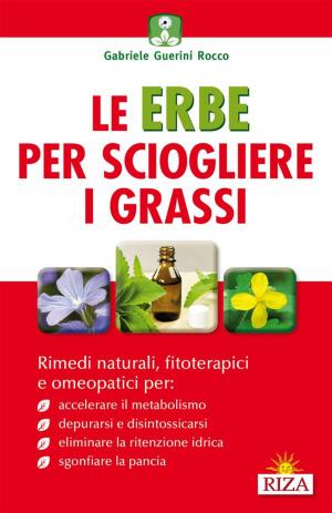 Cover of the book Le erbe per sciogliere i grassi by Raffaele Morelli