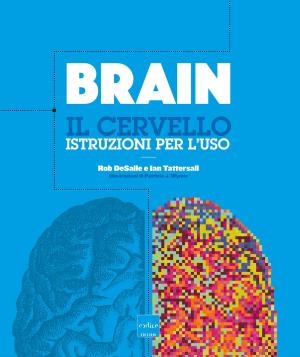 bigCover of the book Brain. Il cervello. Istruzioni per l'uso by 