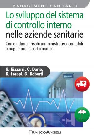 Cover of the book Lo sviluppo del sistema di controllo interno nelle aziende sanitarie. Come ridurre i rischi amministrativo-contabili e migliorare le performance by AA. VV.