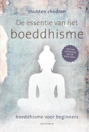 Cover of the book De essentie van het boeddhisme by Vivian den Hollander