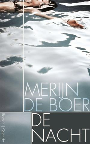 Cover of the book De nacht by Naomi Klein