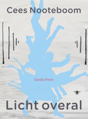 Cover of the book Licht overal by David van Reybrouck