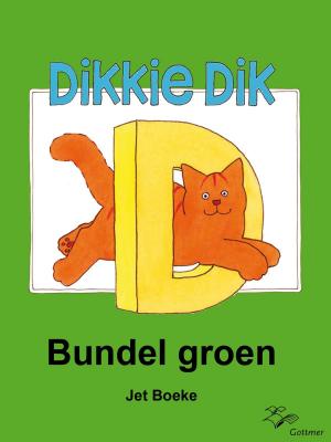 Book cover of Bundel groen