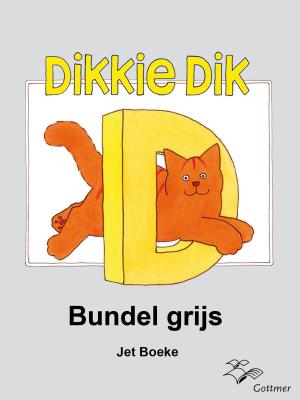 Book cover of Bundel grijs