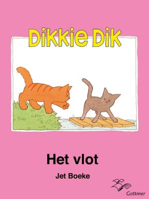 Cover of the book Het vlot by Rian Visser