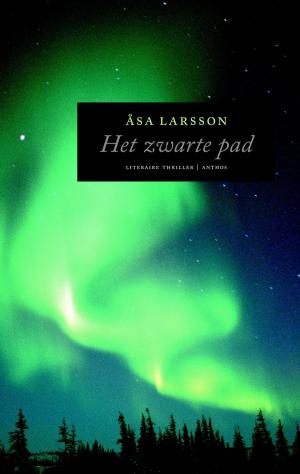 Cover of the book Het zwarte pad by Cassandra Clare
