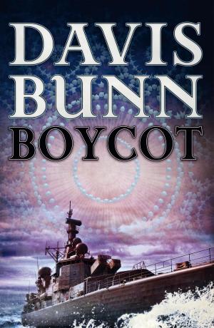 Cover of the book Boycot by Kim Vogel Sawyer