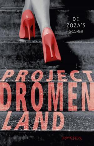 Cover of the book Project dromenland by Hans Wansink