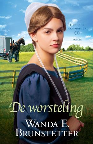 Cover of the book De worsteling by Tessa Afshar