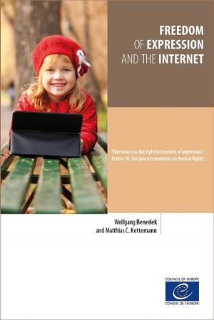 Cover of the book Freedom of expression and the Internet by Collectif